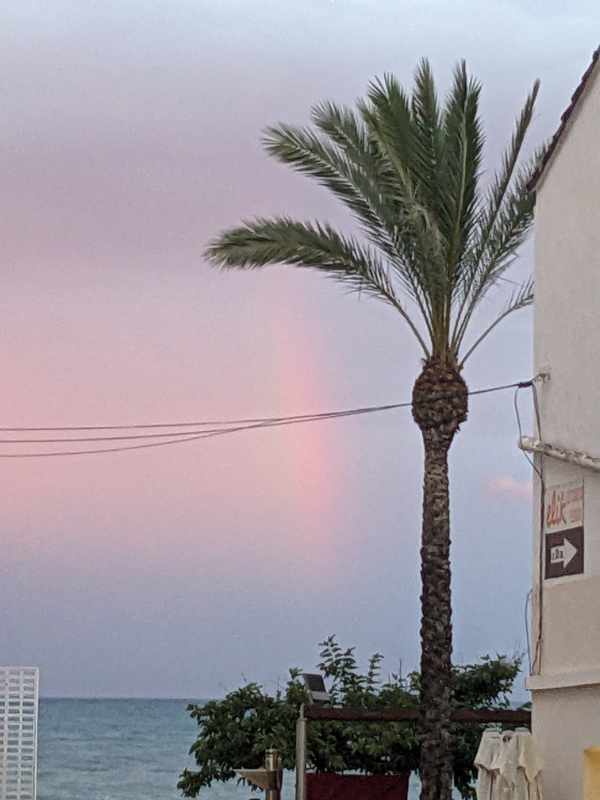 verano sol pez azul dorado